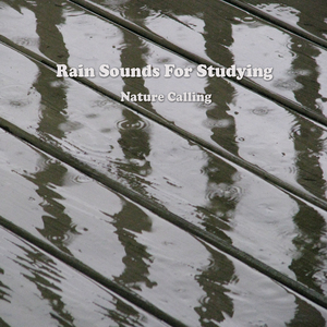 공부할 때 집중력을 올려주는 빗소리