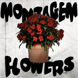 MONTAGEM FLOWERS