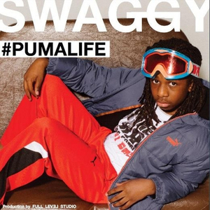 Young Swagg (Feat: Dru Barrels) My Dreads