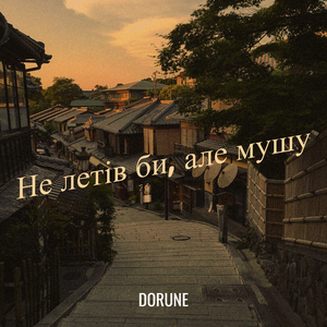 Не летів би, але мушу
