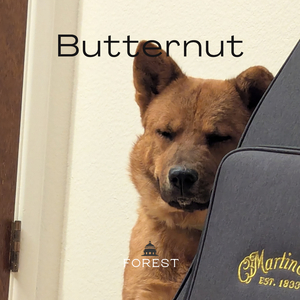 Butternut