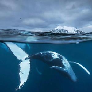 一个人想着一个人（男版）