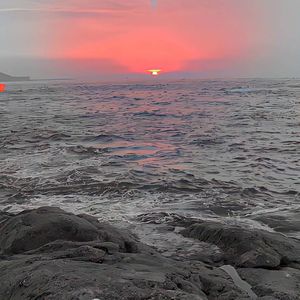 爱情（甜酷版）