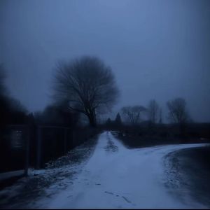 走出爱情伤痛的自愈之旅