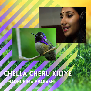 Chella Cheru Kiliye