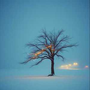 想你的风吹过冬天了