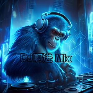 阿波罗太空一号