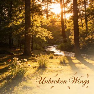 Unbroken Wings