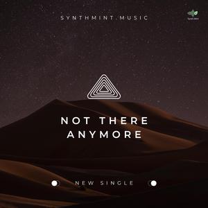 Not There Anymore (Extended Mix)