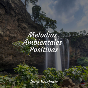 Sesiones Yoga en Colchoneta