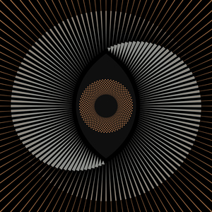 Unconformities (feat. Karin Park)