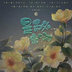 是秘密啊（中文版）