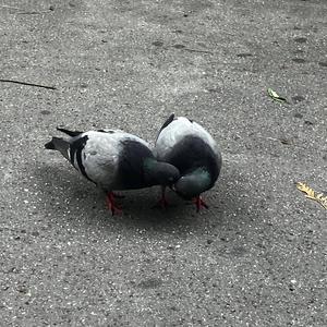 Love your head on my shoulder