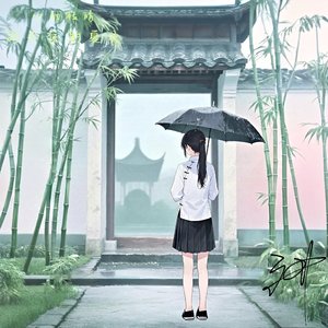 暗之伤