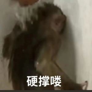 没说出口（demo）