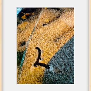 我是真的爱上你 MMM CD