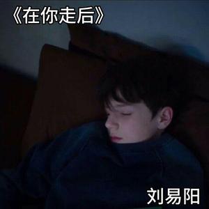 在你走后（Prod by Treasure boy）
