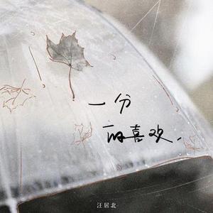 一分的喜欢 (DJ版)