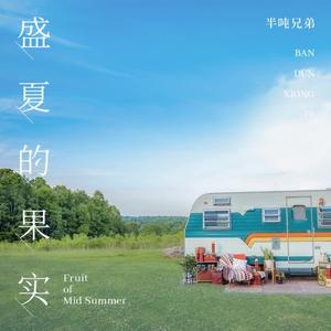 盛夏的果实 (DJ九零版)