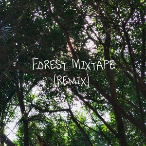 Christina Kuong-Forest Mixtape.wav（GaleMessi remix）