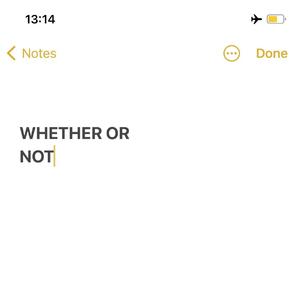 红人馆-WHETHER OR NOT(Remix)