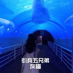 双子情歌 (DJ版)