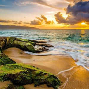 执手到白头到老