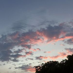 我想念（吉他版）