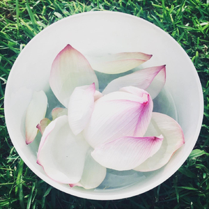 Love Is Round (feat. Murray Kyle)