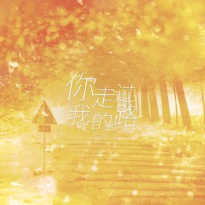 你走过我的路