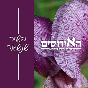 זאת שמעל לכל המצופה