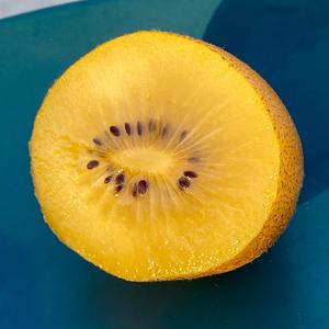 sungold