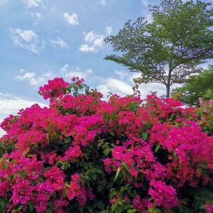 歌曲-《因我是中国人而自豪（Proud to be a Chinese）》 伴奏