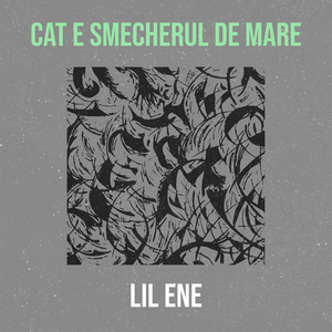 Cat E Smecherul De Mare