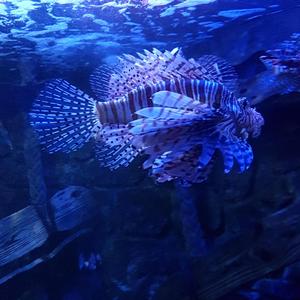 Don't Loose Something You Already Got