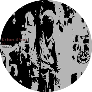 La Formacion Del Consenso