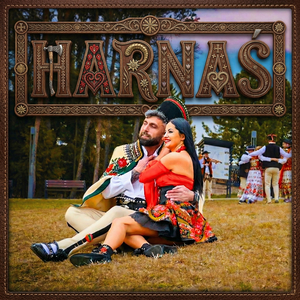 Harnaś
