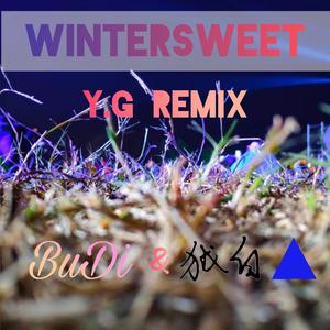 BuDi&狨白-Wintersweet（Y.G remix）