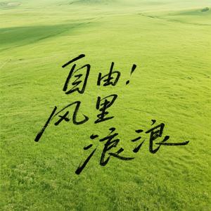 我在自由的风里流浪
