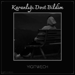 Karanlığı Dost Bildim