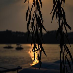 I will follow you into the dark