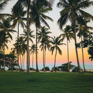 还给你一些孤单