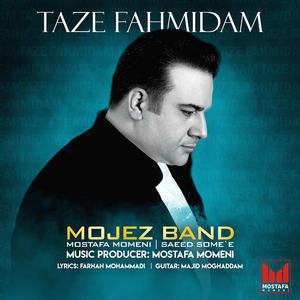 TAZE FAHMIDAM