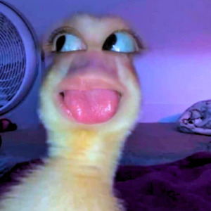 Hidup Tenang Dengan Rokok