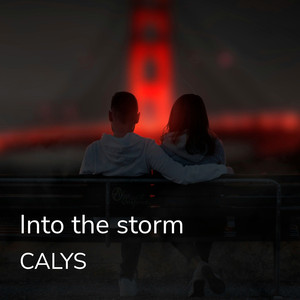 Into the storm