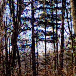 no one waits forever