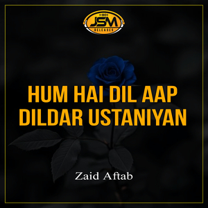 Hum Hai Dil Aap Dildar Ustaniyan