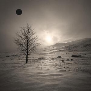 The Cold Winter Sun