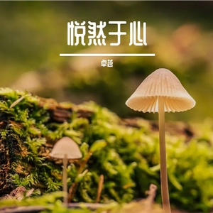 悦然于心（姐姐版）