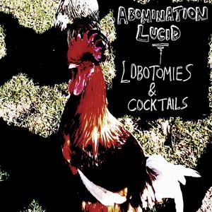 Nanofiber Kidney Stones